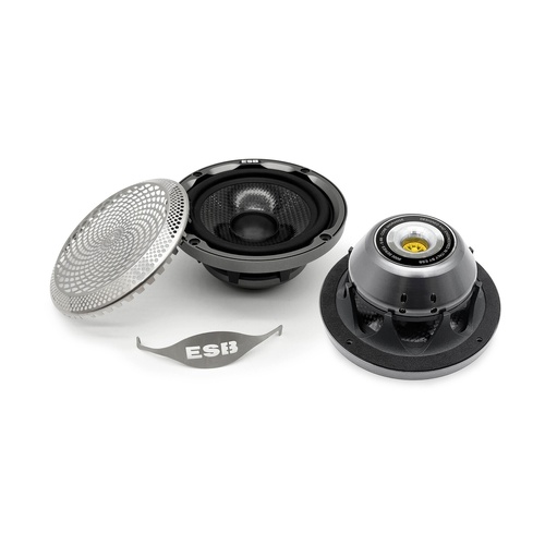 ESB 4"/100 mm High-End Cone Midrange ESB9.4M